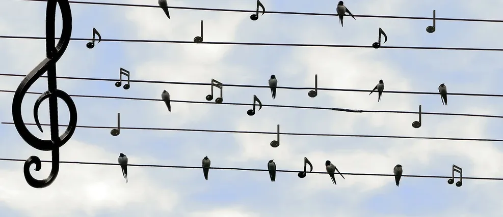 Twitter Widget